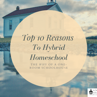 Choosing a School: My Top 10 Reasons Why to Choose a Hybrid School