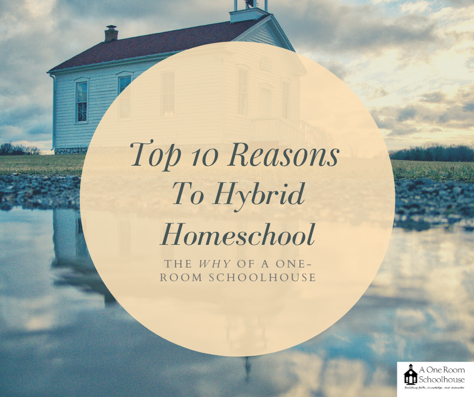 Choosing a School: My Top 10 Reasons Why to Choose a Hybrid School